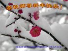 Published on 1/25/2017 ���ֹ�,��½�󷨵��ӹ�ףʦ�������(26��)