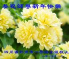 Published on 1/25/2017 ���ֹ�,��½�󷨵��ӹ�ףʦ�������(25��)