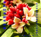 Published on 1/25/2017 ���ֹ�,��½�󷨵��ӹ�ףʦ�������(25��)