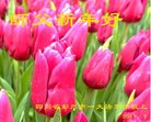 Published on 1/25/2017 ���ֹ�,��½�󷨵��ӹ�ףʦ�������(25��)