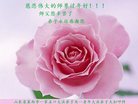 Published on 1/25/2017 ���ֹ�,��½�󷨵��ӹ�ףʦ�������