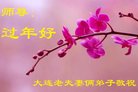 Published on 1/25/2017 ���ֹ�,��½�󷨵��ӹ�ףʦ�������(34��)