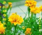 Published on 1/26/2017 ���ֹ�,��½�󷨵��ӹ�ףʦ�������(24��)