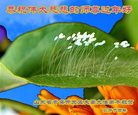 Published on 1/25/2017 ���ֹ�,��½�󷨵��ӹ�ףʦ�������(32��)