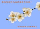 Published on 1/25/2017 ���ֹ�,��½�󷨵��ӹ�ףʦ�������(32��)