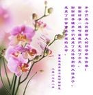 Published on 1/24/2017 ���ֹ�,2017������ؿ�������һ�� ����������