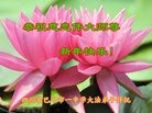 Published on 1/25/2017 ���ֹ�,��½����󷨵��Ӹ�ʦ�����