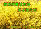 Published on 1/25/2017 ���ֹ�,��½�󷨵��ӹ�ףʦ�������(31��)