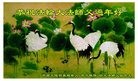 Published on 1/24/2017 ���ֹ�,��½���ո������־��ʦ����ʦ��������� ����������