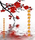 ֹ,ɳ󷨵ӹףʦ(20)