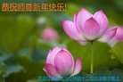 Published on 1/25/2017 ���ֹ�,��½�󷨵��ӹ�ףʦ�������(27��)