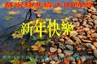 Published on 1/25/2017 ���ֹ�,��½�󷨵��ӹ�ףʦ�������(27��)