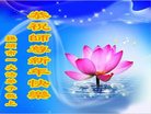Published on 1/25/2017 ���ֹ�,��½�󷨵��ӹ�ףʦ�������(33��)
