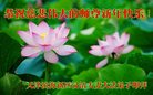 Published on 1/25/2017 ���ֹ�,��½�󷨵��ӹ�ףʦ�������