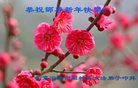 Published on 1/26/2017 ���ֹ�,��½�󷨵��ӹ�ףʦ�������(41��)
