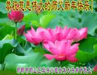 Published on 1/25/2017 ���ֹ�,��½�󷨵��ӹ�ףʦ�������(39��)