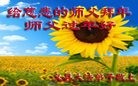 Published on 1/29/2017 ���ֹ�,�������������󷨵��ӹ�ףʦ�������(37��)