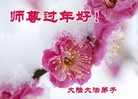 Published on 1/24/2017 ���ֹ�,��÷��ѩ�����š���������ߵлʦ��