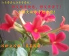 Published on 1/29/2017 ���ֹ�,�ຣ�����ġ�ɽ���ȵش󷨵��ӹ�ףʦ�������(33��)