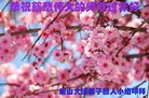 Published on 1/26/2017 ���ֹ�,���������˹�ףʦ�������(25��)