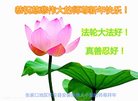 Published on 1/25/2017 ���ֹ�,��½�󷨵��ӹ�ףʦ�������(29��)