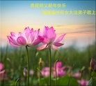 ֹ,󷨵ӹףʦ(24)