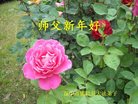 ֹ,󷨵ӹףʦ(25)
