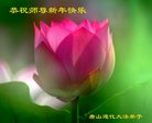Published on 1/25/2017 ���ֹ�,��½�󷨵��ӹ�ףʦ�������(33��)