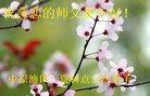 Published on 1/28/2017 ���ֹ�,����ҵ�󷨵��ӹ�ףʦ�������(31��)