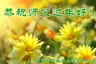 Published on 1/25/2017 ���ֹ�,2017������ؿ�����������