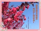 Published on 1/28/2017 ���ֹ�,�����湦Ч������ÿ�������������