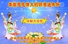 Published on 1/27/2017 ���ֹ�,��½40�����ҵ�Ĵ󷨵��ӹ�ףʦ������ã�