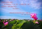Published on 1/27/2017 ���ֹ�,��½40�����ҵ�Ĵ󷨵��ӹ�ףʦ������ã�