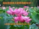Published on 1/30/2017 ���ֹ�,�������������д󷨵��ӹ�ףʦ������ã�