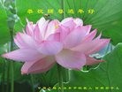 Published on 1/28/2017 ���ֹ�,��ʦ���������Ǻܴ󸣷ݡ����󷨵��Ӽ��˸ж����ʦ
