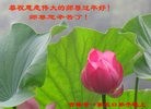 Published on 1/30/2017 ���ֹ�,�Һ������ˡ�������Ա�ж�ʦ��