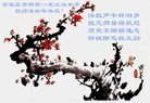 Published on 1/28/2017 ���ֹ�,��½�󷨵��ӹ�ףʦ�������(32��)