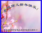 Published on 1/25/2017 ���ֹ�,��½�󷨵��ӹ�ףʦ�������(25��)