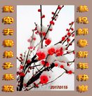 Published on 1/25/2017 ���ֹ�,��½�󷨵��ӹ�ףʦ�������(25��)
