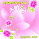 Published on 1/25/2017 ���ֹ�,��½�󷨵��ӹ�ףʦ�������(25��)
