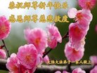 Published on 1/25/2017 ���ֹ�,��½�󷨵��ӹ�ףʦ�������(26��)