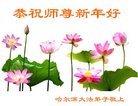 Published on 1/25/2017 ���ֹ�,��½�󷨵��ӹ�ףʦ�������(26��)
