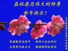 Published on 1/25/2017 ���ֹ�,��½�󷨵��ӹ�ףʦ�������(26��)