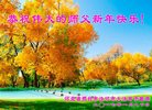Published on 1/25/2017 ���ֹ�,��½�󷨵��ӹ�ףʦ�������(35��)