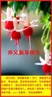 Published on 1/29/2017 ���ֹ�,���ִ󷨺� �󷨵��ӵ�������֪��