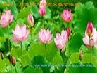 Published on 1/27/2017 ���ֹ�,�ڴ�½���취˾�����������Ĵ󷨵��Ӹ�ʦ�����