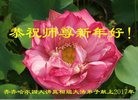 Published on 1/29/2017 ���ֹ�,���֡�ɽ���������������յȵش󷨵��ӹ�ףʦ�������(28��)