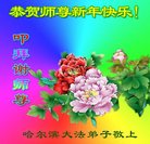 Published on 1/25/2017 ���ֹ�,��½�󷨵��ӹ�ףʦ�������(27��)