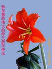 Published on 1/25/2017 ���ֹ�,��½�󷨵��ӹ�ףʦ�������(27��)