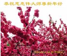 Published on 1/25/2017 ���ֹ�,��½�󷨵��ӹ�ףʦ�������(27��)